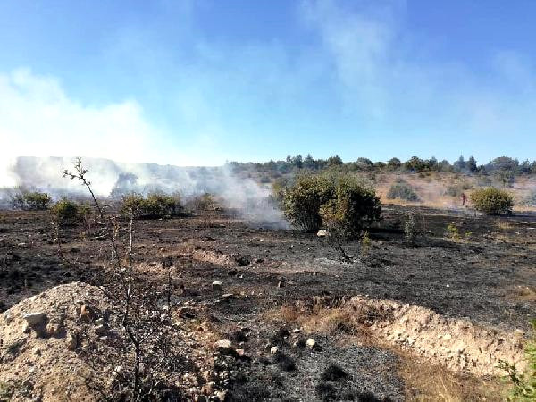 Ateş Yakılan Alanda Kuru Otlar Tutuştu; 2 Hektarlık Alan Yandı