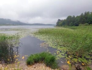 Bolu’da oteller bayram tatilinde dolu