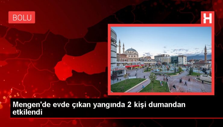 Mengen’de meskende çıkan yangında 2 kişi dumandan etkilendi