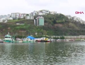 PALAMUT BALIKÇILARI SEVİNDİRDİ HAMSİ İSE ÜZDÜ