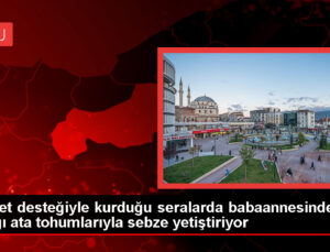 Cet Tohumlarıyla Zerzevat Üreten Bayan Çiftçi Aile Bütçesine Katkı Sağlıyor