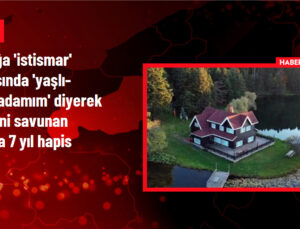 81 yaşındaki adam 9 yaşındaki kıza cinsel istismarda bulundu