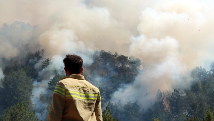 23 Vilayetten Gruplar Yangın Bölgesinde