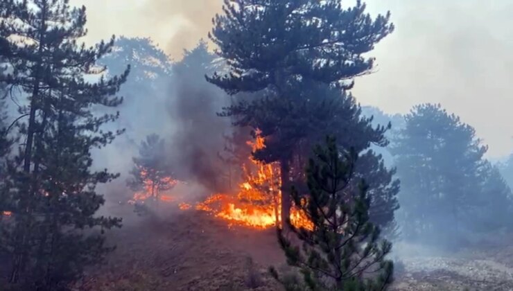 Bolu Göynük’te Orman Yangını: 100 Hektarlık Alan Ziyan Gördü