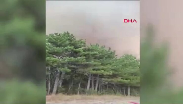 Bolu Göynük’te Ormanda Çıkan Yangın Denetim Altına Alınmaya Çalışılıyor