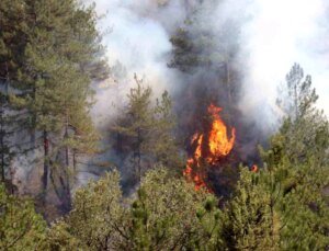 Bolu Göynük’teki Orman Yangını 28 Saattir Sürüyor