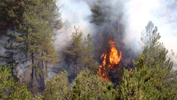 Bolu Göynük’teki Orman Yangını 28 Saattir Sürüyor