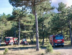Bolu Göynük’teki Orman Yangınına Ağır Müdahale