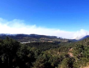 Bolu’da 100 hektarlık orman yangını 21 saattir sürüyor