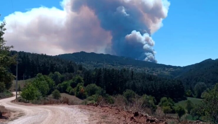 Bolu’da Anız Yangını Ormana Sıçradı
