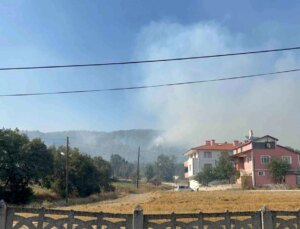 Bolu’da çıkan orman yangınında 2 kişi tutuklandı
