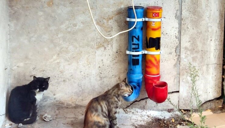 Bolu’da çocuklar sokak hayvanları için mama ve su kapları hazırladı