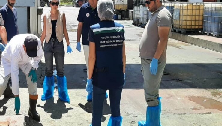 Bolu’da Etraf Mevzuatına Karşıt Faaliyet Gösteren İşletmelere Cezalar Verildi