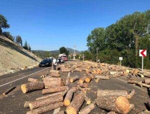 Bolu’da Kamyonun Kasasından Düşen Odunlar Trafiği Aksattı