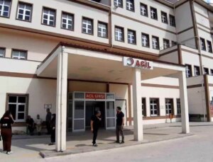Bolu’da orman çalışanları arı saldırısına uğradı