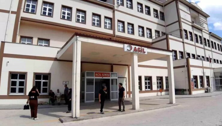 Bolu’da orman çalışanları arı saldırısına uğradı