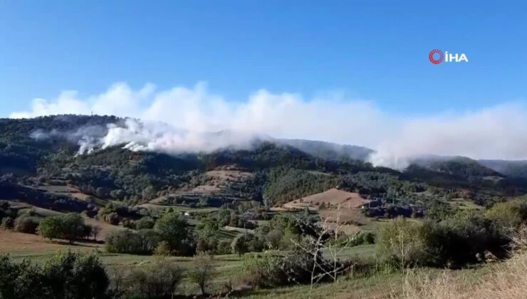 Bolu’da orman yangını 21’nci saatinde: Sabahın birinci ışıklarıyla havadan müdahale başladı