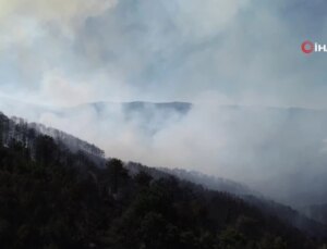 Bolu’da orman yangını 28’inci saatinde