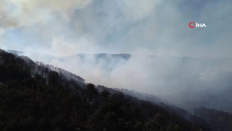 Bolu’da orman yangını 28’inci saatinde