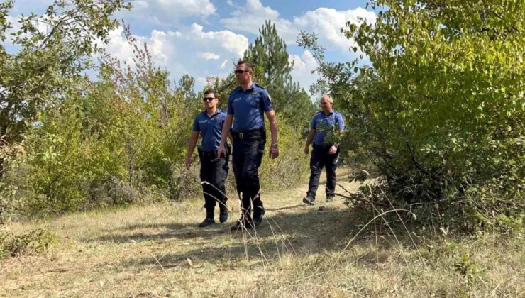 Bolu’da Orman Yangınlarına Karşı Kontroller Sürüyor