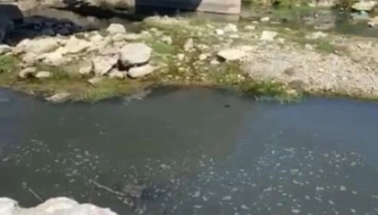Bolu’da Patates Firmasına 1 Milyon 160 Bin TL Cezai Süreç