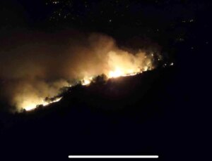 Bolu’da Yaklaşık 100 Hektarlık Ormanlık Alanda Yangın