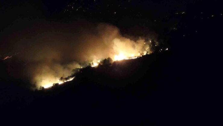 Bolu’da Yaklaşık 100 Hektarlık Ormanlık Alanda Yangın