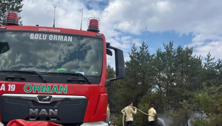 Bolu’da Yaylada Orman Yangını Denetim Altına Alındı