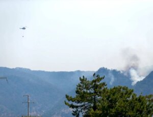 Bolu’daki Orman Yangını Denetim Altına Alınamadı