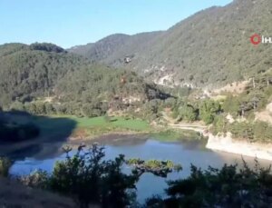 Bolu’daki orman yangınına havadan müdahale yine başladı