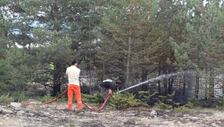 Bolu’nun Dörtdivan ilçesinde ormanlık alanda çıkan yangın büyümeden söndürüldü
