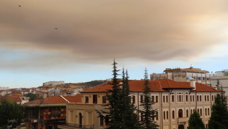 Eskişehir’de Orman Yangınından Kaynaklanan Dumanlar Gökyüzünü Kapladı