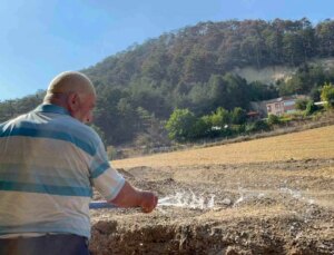 Göynük’teki Orman Yangını Söndürüldü, Vatandaşlar Konutlarına Dönüyor