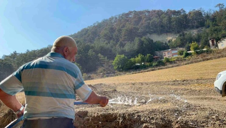 Göynük’teki Orman Yangını Söndürüldü, Vatandaşlar Konutlarına Dönüyor