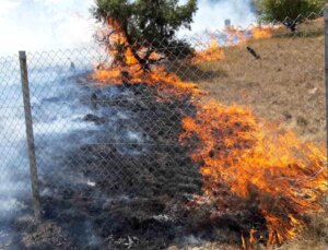 Mudurnu’da Anız Yangını: 4 Tarla ve Mezarlık Küle Döndü