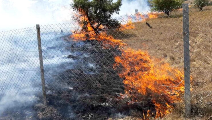 Mudurnu’da Anız Yangını: 4 Tarla ve Mezarlık Küle Döndü