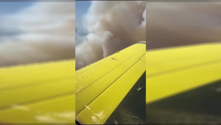 Tarım ve Orman Bakanı: Yangınlarla Mücadele Aralıksız Sürüyor