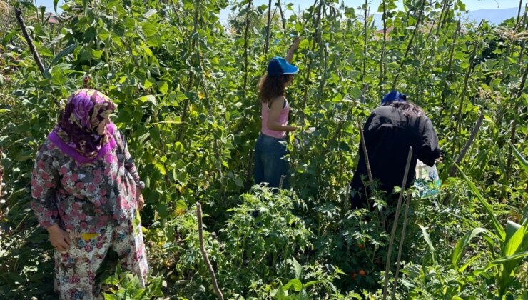 Üniversiteli Gençler Köy Hayatını Deneyimledi