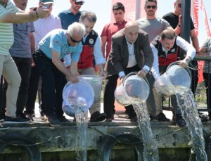 Yeniçağa Gölü’ne 50 Bin Sazan Balığı Yavrusu Salındı