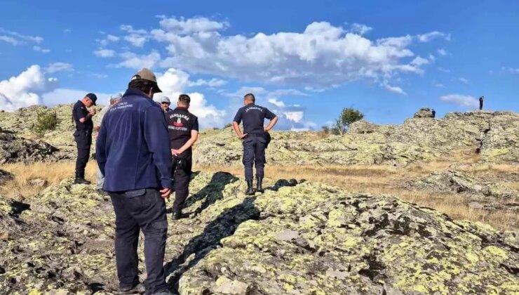 Bolu’da kayıp olarak aranan yabancı asıllı kişi ormanda meyyit bulundu