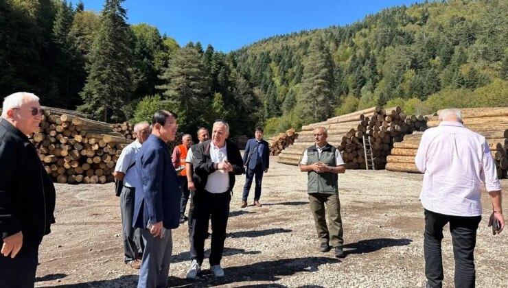 Güney Kore Heyeti Bolu Orman Bölge Müdürlüğünü Ziyaret Etti