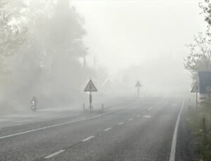 Bolu, Düzce ve Bartın’da Ağır Sis Ulaşımı Olumsuz Etkiledi