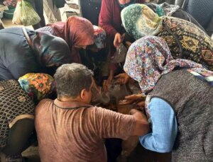 Bolu pazarında kanlıca mantarı izdihamı