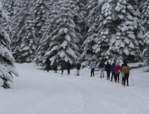 Bolu’da Kayaklı Koşu Atletleri Karla İdmanlara Başladı