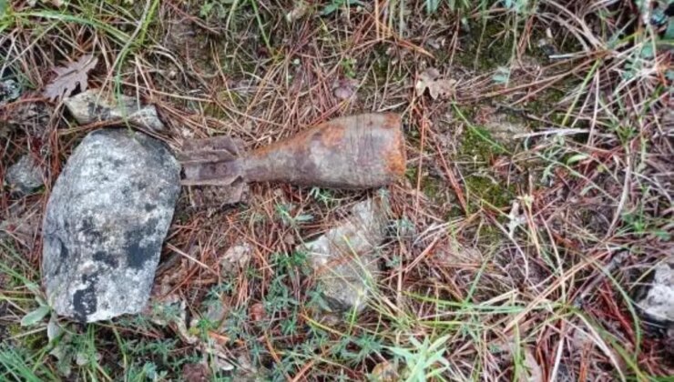 Bolu’da Mantar Toplarken Patlamamış Havan Topu Mermisi Bulundu