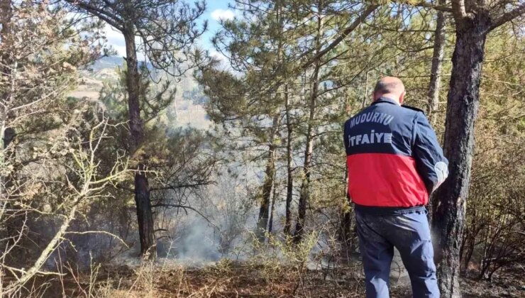 Bolu’da Orman Yangını Erken Müdahale ile Söndürüldü