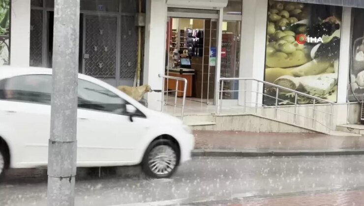 Bolu’da Sağanak Yağış Hayatı Olumsuz Etkiledi