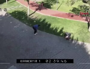 Bolu’da Zabıta Grupları İzmarit Atanlara Ceza Kesiyor