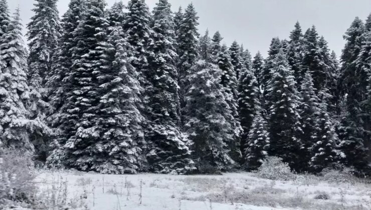Bolu’nun Yüksek Kesitlerinde Kar Yağışı