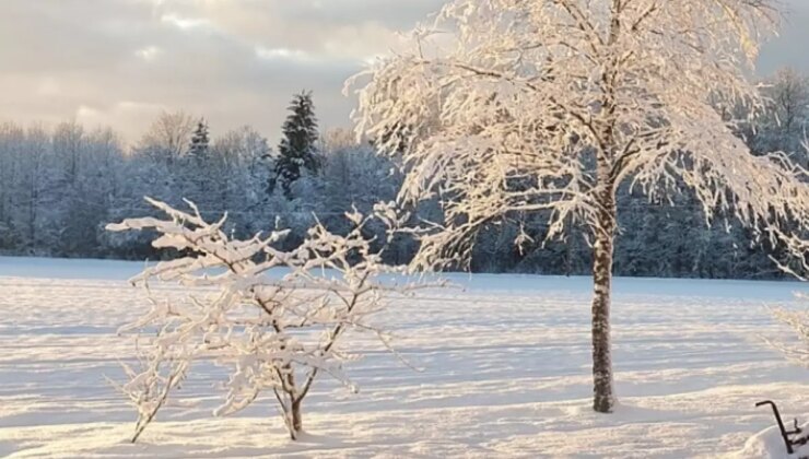 Kar yağışı başladı mı? Nerelere kar yağdı?